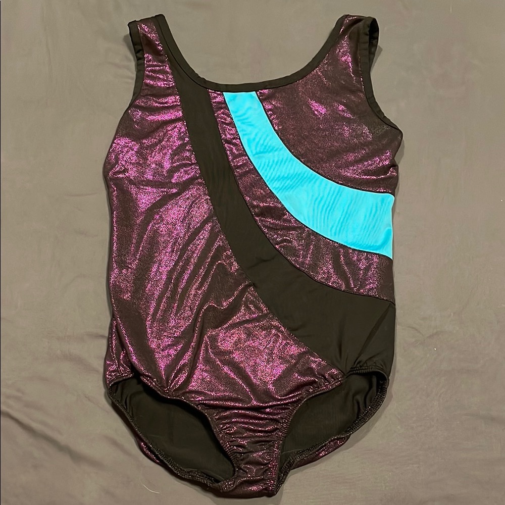Shimmering Purple and Blue Leotard